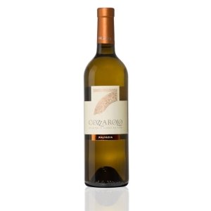 Cozzarolo Malvasia 2024